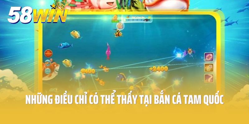 Những điều chỉ có thể thấy khi chơi Bắn Cá Tam Quốc tại 58win