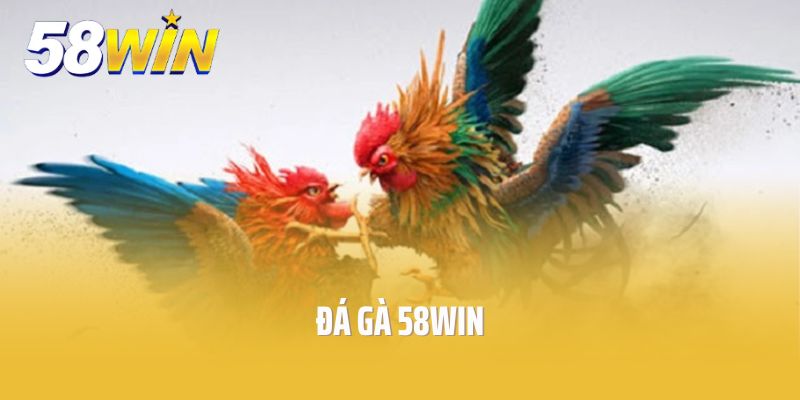 Đá gà 58win