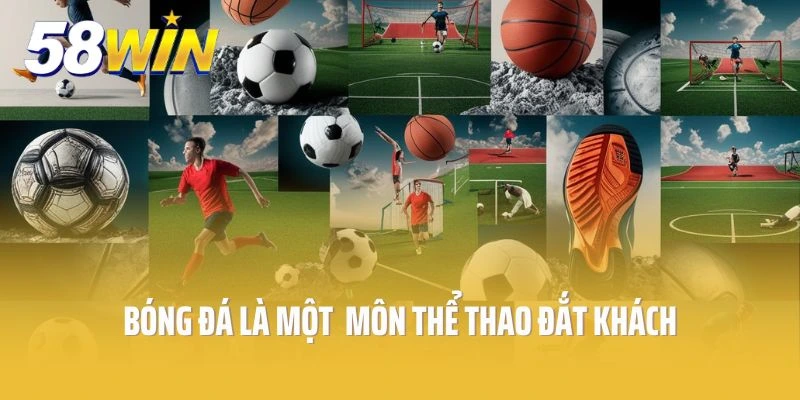 Bóng đá là một trong những môn thể thao đắt khách tham gia cá cược 