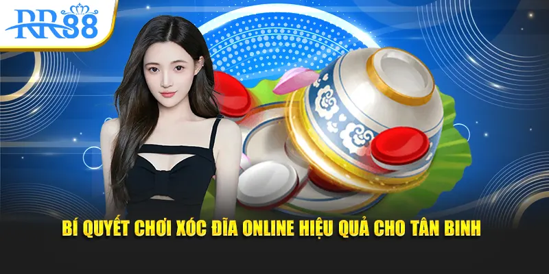 Bí quyết chơi xóc đĩa online hiệu quả cho tân binh